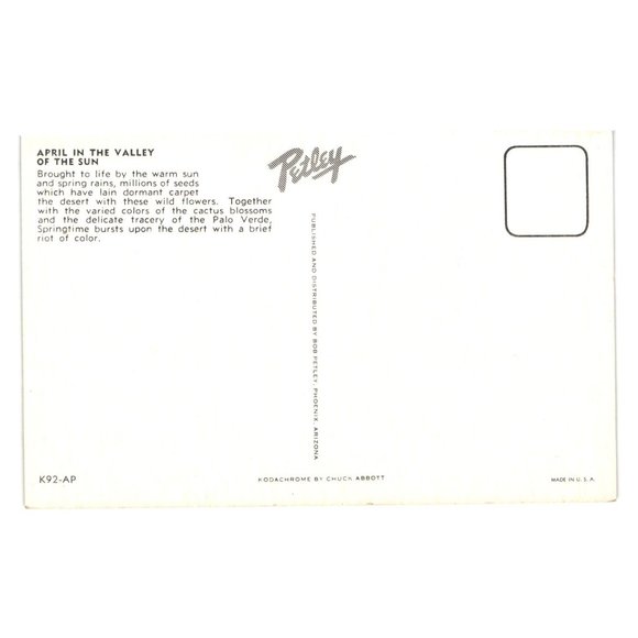 Vintage Postcard April Landscape Valley Of The Sun Desert Wild Flowers Cactus - Picture 2 of 2